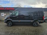 Mercedes-Benz Sprinter III Kasten RWD/AWD 319 CDI 4x4 PRO L2 - Mercedes-Benz Sprinter: 319 Cdi