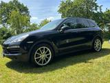 Porsche Cayenne, Bose, Pano, ACC, Luftfahrw., - Porsche Cayenne in Lübeck