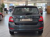 Skoda Fabia Cool Plus - Skoda Fabia Gebrauchtwagen in Freiburg