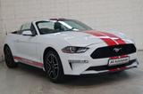 Ford Mustang Basis Convertible LED Vollleder Kamera - gebrauchte Ford Mustang aus dem Jahr 2019