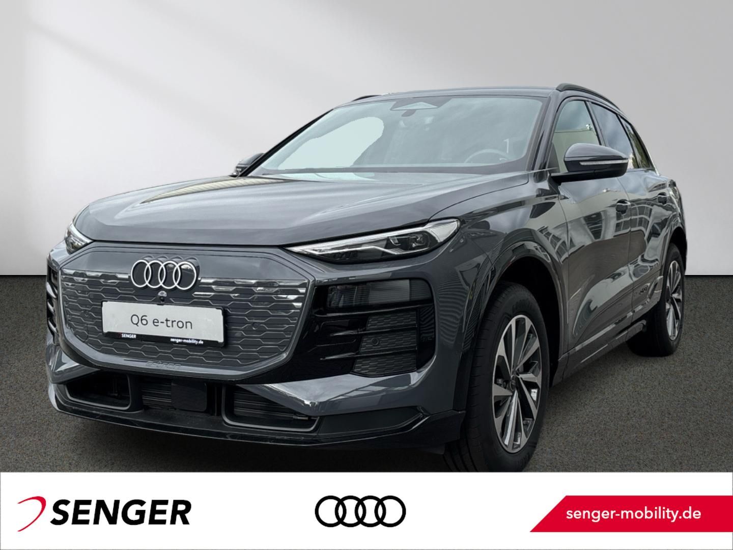 Audi Q6 e-tron Advanced-Paket Navi Sitzhzg. LED Temp.