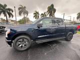 Ford F 150 Lightning Flash gr Batterie im Vorlauf - Ford F 150: Lightning