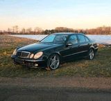 Mercedes-Benz W211 E500 Avantgarde | M113 ... - Mercedes-Benz: W113