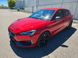 Cupra Leon 2.0 TSI VZ DSG ACC Beats LED   - gebrauchte Cupra Leon aus dem Jahr 2021