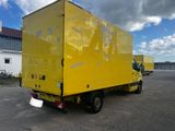 Mercedes-Benz Sprinter 313 CDI Blatt/Blatt Motorschaden - Angebote entsprechen deinen Suchkriterien