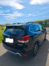 Subaru Forester 2.0ie Comfort Lineartronic Comfort - Subaru Forester von privat