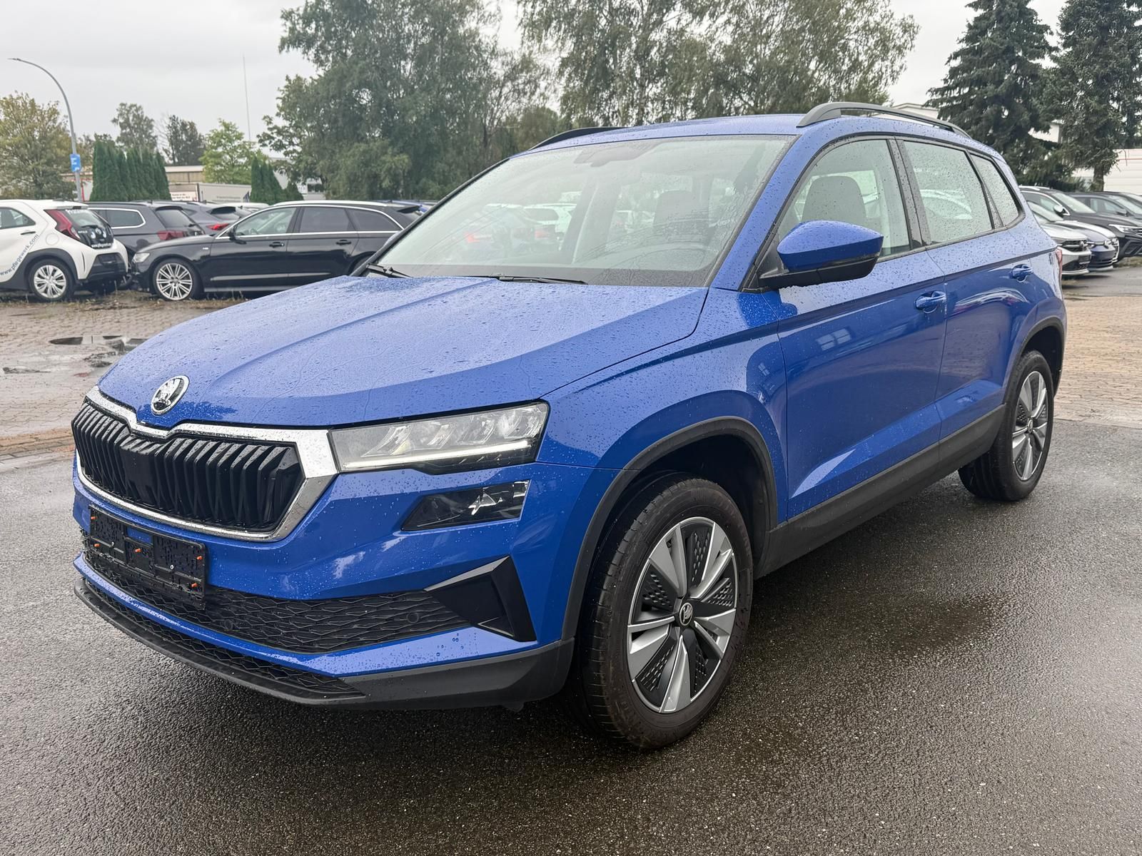 Skoda Karoq Ambition 2.0 /VIRTUAL/TEMPO/PDC/