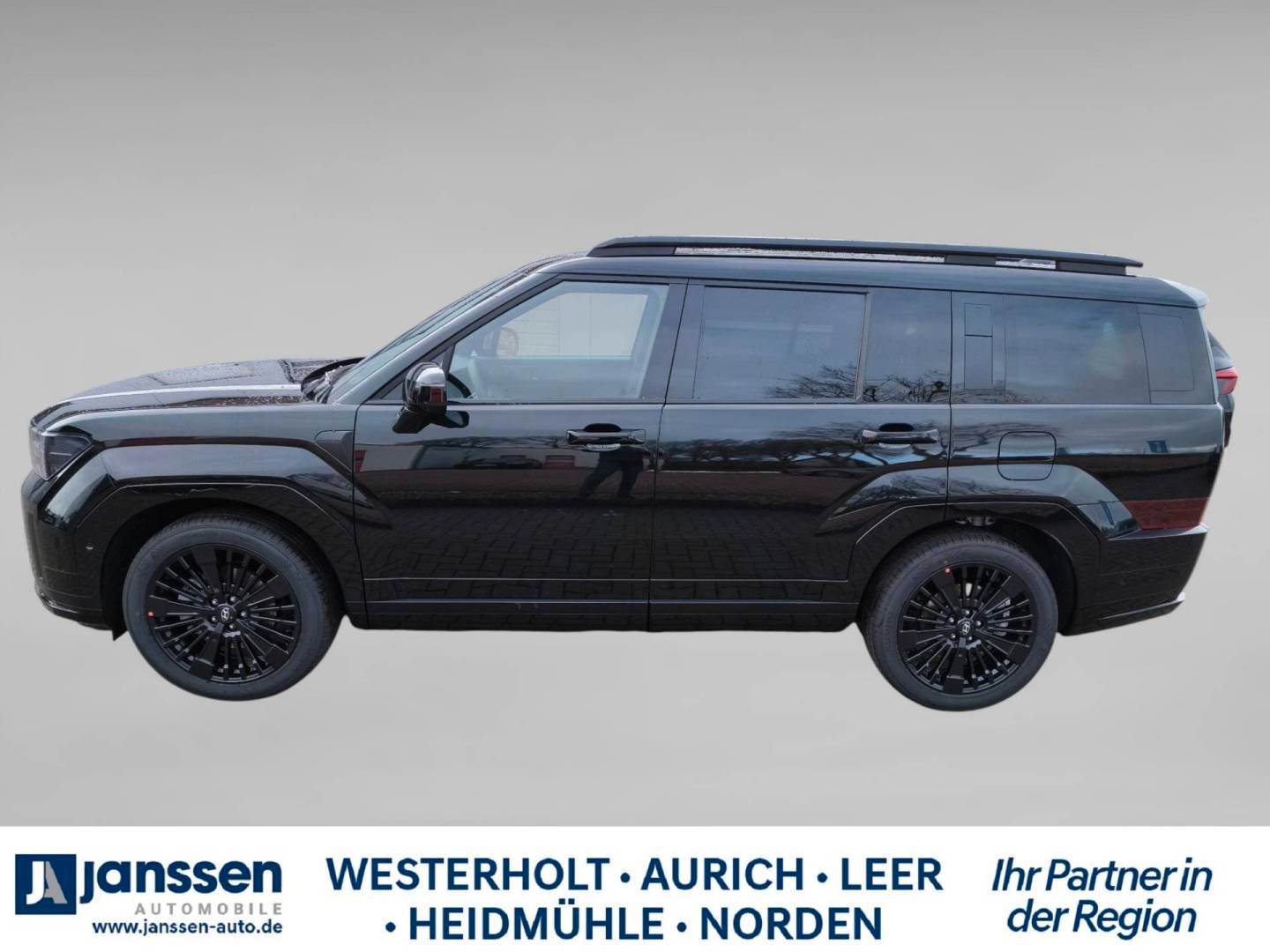 Fahrzeugabbildung Hyundai SANTA FE HybridBlackline/Glas-Schiebedach/Automa