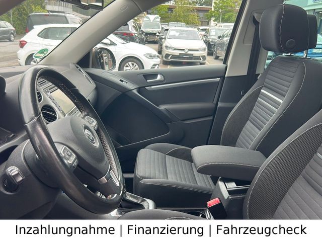 Bild 12