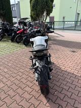CFMOTO CBR 650 Alternative CF Moto MT 700 - CFMOTO MOTORRAD