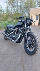 Harley-Davidson Sportster XL 883 N - Offers matching your search criteria