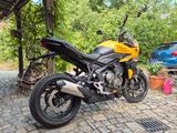 Triumph Tiger Sport 800 in Gelb - TRIUMPH TIGER SPORT 800