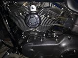 Harley-Davidson FAT Bob, FXDF 5HD - HARLEY-DAVIDSON GEBRAUCHT FAT BOB