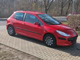 Peugeot 307 1,4 mit Neuen TÜV - Peugeot 307: 1.4