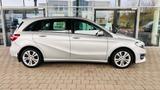 Mercedes-Benz B 250 4Matic, AHK, LED - Mercedes-Benz B 250: 4matic