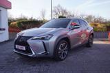 Lexus UX 2.0 Hybrid 250 h LED Navi Kamera Totwinkel - Lexus UX aus 2023