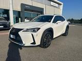 Lexus UX Hybrid Premium 4WD - Lexus UX aus 2020