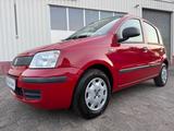 Fiat Panda 1.2 8V 51kW 69PS MyLive/Klima/2.Hand/Euro5 - Fiat Panda in Hagen