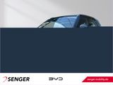 BYD ATTO 2 Boost Panorama Carplay LED 360°Kamera - BYD ATTO 2