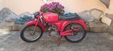 Andere Bianchi Falco Sport - SPORTLER VON 1 BIS 50 CCM