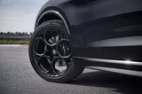 Alfa Romeo Stelvio Quadrifoglio 2.9 V6 Bi-Turbo AT8 Q4 - Alfa Romeo Gebrauchtwagen in Karlsruhe