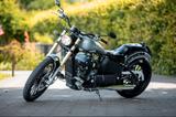 Andere Regal Raptor Daytona 350 - CHOPPER