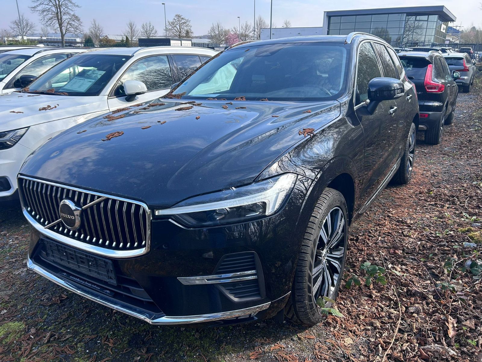 Volvo XC60 Plus Bright AWD+Mild Hybrid+ACC+PANO+H/K+