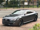 Audi A5 3.0 TDI DTM S5/RS5 Sportsitze - Audi: Dtm