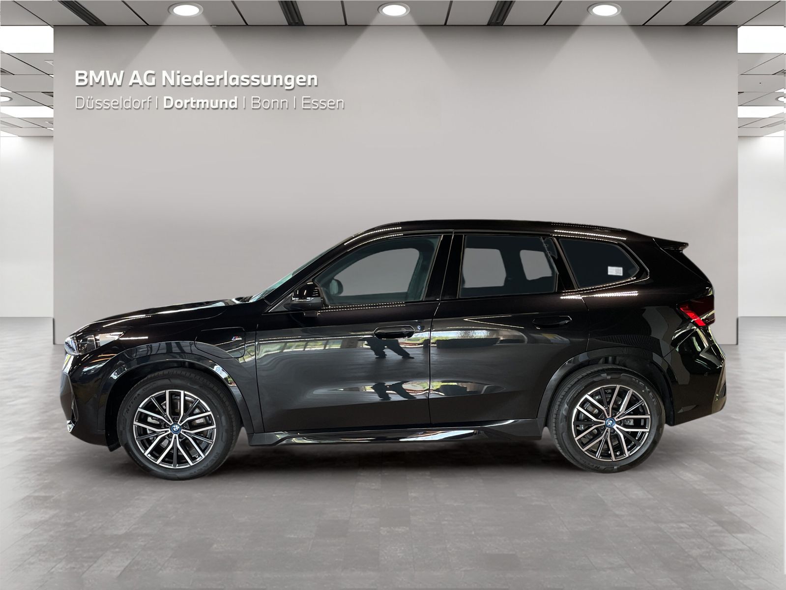 BMW X1 xDrive30e M Sport AHK Driv.Assist.Prof LED foto 7