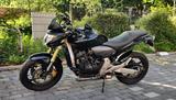 Honda Hornet CB600F PC41 - HONDA PC41 600 HORNET