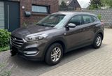 Hyundai TUCSON 1.6 GDI Navi Dachreling Anhängerkupplung  - Hyundai TUCSON: Anhängerkupplung