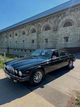 Jaguar XJ12 - Jaguar XJ12 Gebrauchtwagen