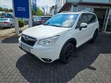 Subaru Forester Exclusive - Subaru Forester in Wuppertal