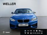 BMW M240i Cabrio *LED*ACC*adap Fahrw*Memory*SHZ*RCam - BMW M Models