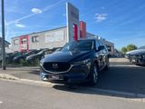 Mazda CX-5 Sports-Line AWD BOSE FINANZIERUNG - Mazda CX-5 in Frankfurt (Main)