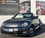 Volkswagen Beetle Cabriolet 1.2 TSI Cup SITZHZG. PDC V/H TE - gebrauchte Cabrios in Freiburg