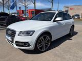 Audi SQ5 3.0 TDI quattro MMI Memory Pano Xenon+ Leder - gebrauchte Audi SQ5 aus dem Jahr 2013