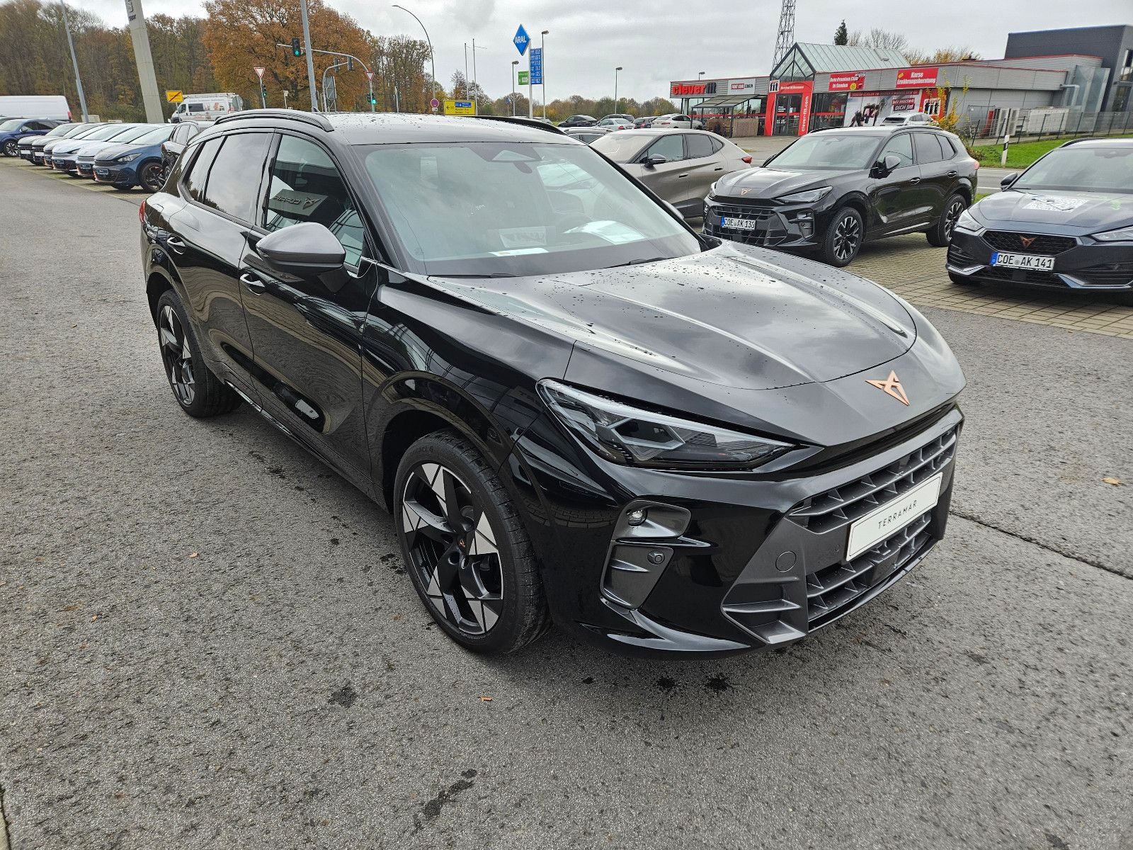 Cupra Terramar - Bild 3