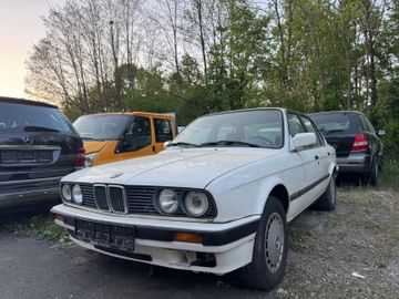 BMW 316 - 1