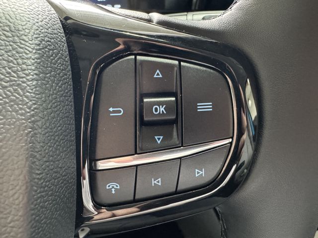 Ford Tourneo Custom 2.0 L2 Titanium X Vollausstattung