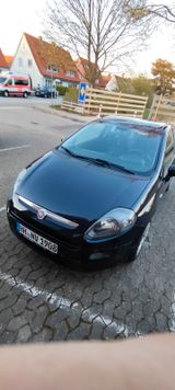 Fiat Punto 1.2 8V POP  - Fiat Punto in Hamburg