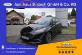 Ford Fiesta Titanium 1.0 125PS Hybrid WiPa|Sicht-Pake - Ford Fiesta Jahreswagen