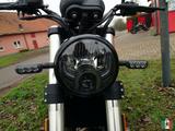Benelli Leoncino 500 Modell 2023 - BENELLI MOTORRAD