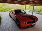 Dodge Challenger 6.4 SRT Scat Pack - Dodge Challenger aus 2017