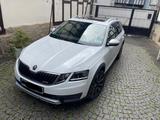 Skoda Octavia 2.0 TSI DSG 4x4 Scout Combi Scout - Skoda Octavia Scout mit Benzin-Antrieb