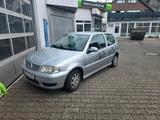 Volkswagen VW Polo 6N2 1.4 MPI - Volkswagen Polo aus 2002: 1.6