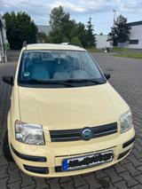 Fiat Panda !!  Gute Zustand  !! - gebrauchte Fiat Panda aus dem Jahr 2004