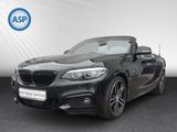 BMW 220i Cabrio M Sport Sport-Aut  XENON H&K NAVI