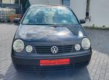 Volkswagen Polo IV Cricket
