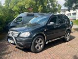 Mercedes-Benz W163 ML320 LPG AHK *Rostfrei* Tüv 09/2026 ... - Mercedes-Benz ML 320 aus 2000